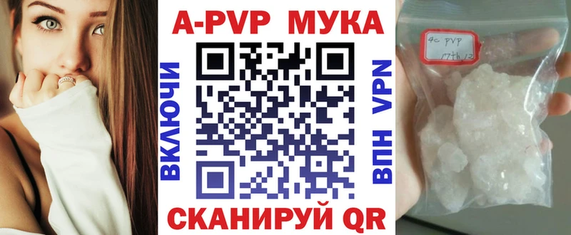 ОМГ ОМГ как зайти  Луга  Альфа ПВП СК КРИС 