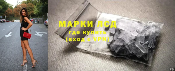 прущие грибы Новодвинск