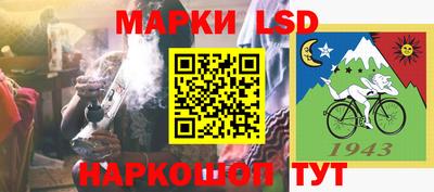 spice Камышлов