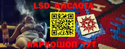 spice Камышлов