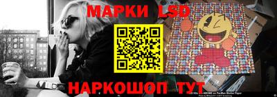 spice Камышлов