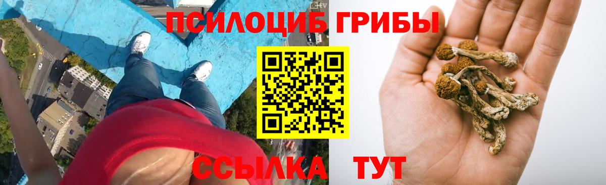 Галлюциногенные грибы ЛСД Луга